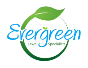 Evergreen Yard Services